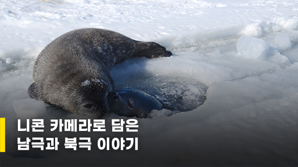 남극과 북극 이야기