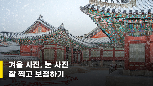 겨울 / 눈 사진 촬영 및 보정