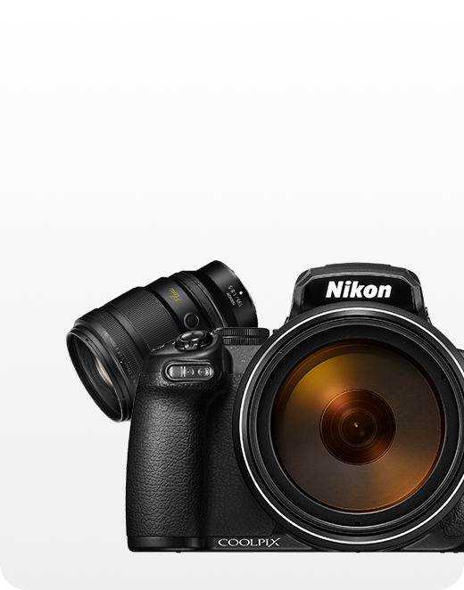 더 다양한 베스트제품